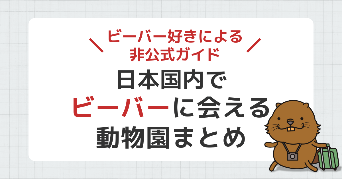 日本国内でビーバーに会える動物園まとめ【ビーバー好きによる非公式ガイド】（2026年3月更新）